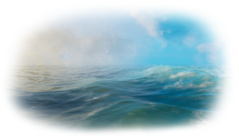 File:Ocean (Biome).png