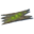Ancient bark