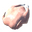 Volture meat