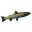Pike