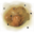 Ooze