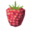 Raspberries