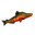 Northern salmon