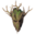Root mask