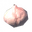 Asksvin bladder