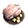 Uncooked honey glazed chicken