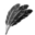 Feathers