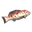 Grouper