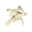 Bone fragments