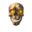 Skeleton trophy