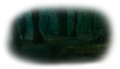 Thumbnail for version as of 18:19, 19 February 2021
